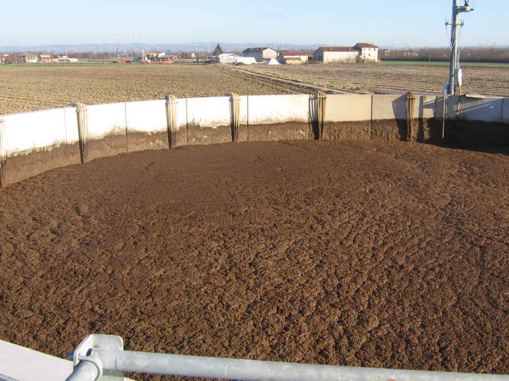 Allevamento suini da svezzamento e ingrasso