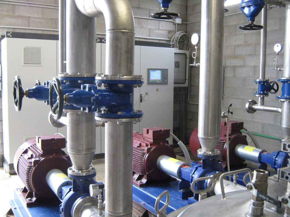 Allevamento suini da ingrasso